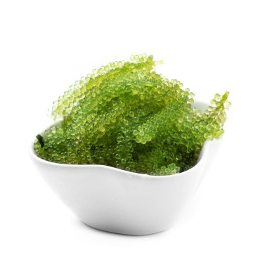 Beyaz arka plan üzerinde izole oval deniz üzüm deniz yosunu