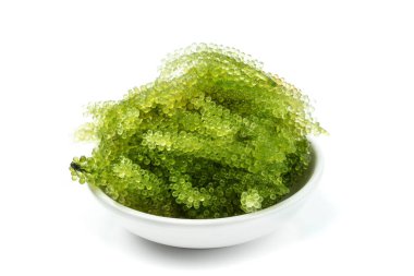 Beyaz arka plan üzerinde izole oval deniz üzüm deniz yosunu