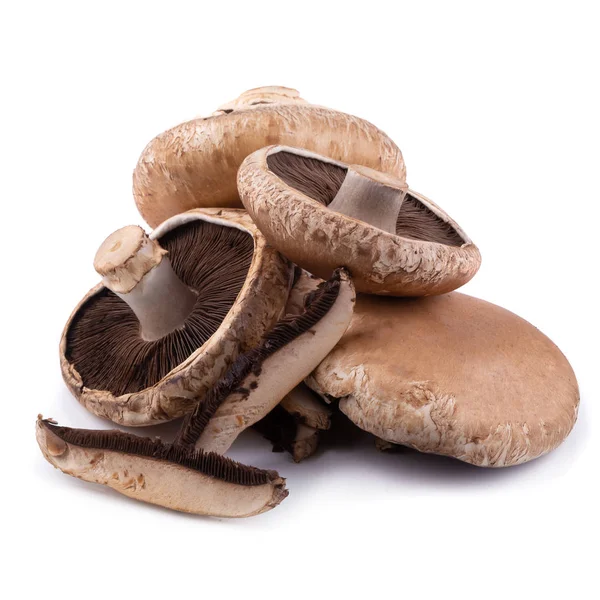 Portobello Mushrooms Isolated White Background — Stock Photo, Image