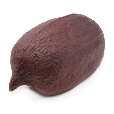 Beyaz arka plan üzerinde izole kurutulmuş kakao pod