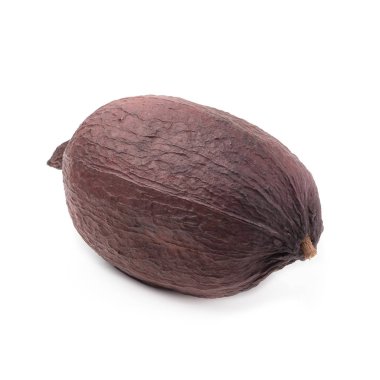 Beyaz arka plan üzerinde izole kurutulmuş kakao pod