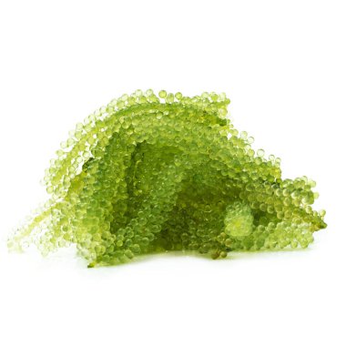 Beyaz arka plan üzerinde izole oval deniz üzüm deniz yosunu