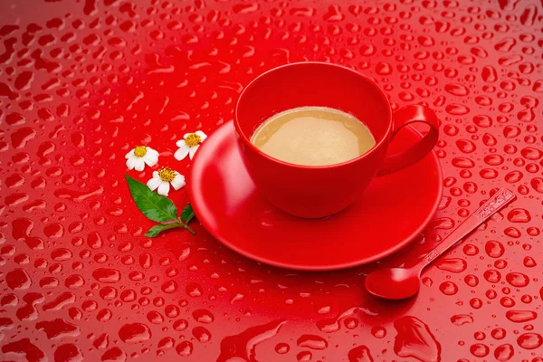 Roter Kaffeebecher Und Kleine Blumen Auf Rotem Wassertropfen Hintergrund — Stockfoto