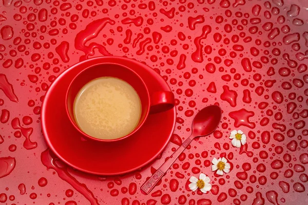 Red coffee mug and small flowers on red water drops background