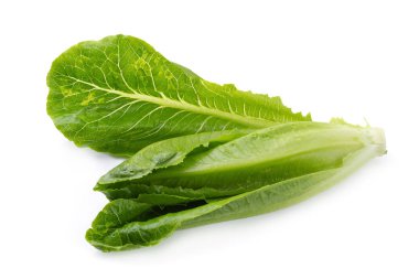 Taze yeşil çünkü beyaz arka planda marul izole edilmiş.