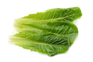 Taze yeşil çünkü beyaz arka planda marul izole edilmiş.