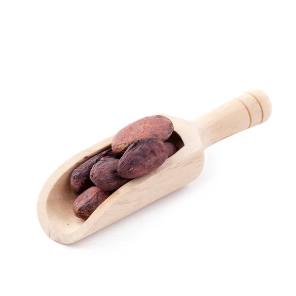 Плоды Какао Деревянной Ложке Сырые Бобы Какао Изолированы Белом Фоне — стоковое фото