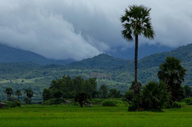 Bulutlu gün, Tayland vadide kırsalında görünümünü