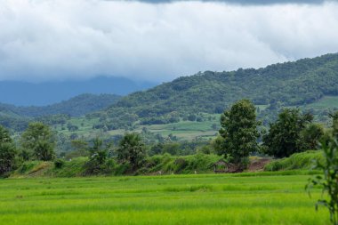 Bulutlu gün, Tayland vadide kırsalında görünümünü