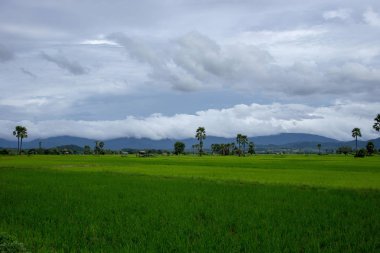 Bulutlu gün, Tayland vadide kırsalında görünümünü