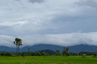 Bulutlu gün, Tayland vadide kırsalında görünümünü