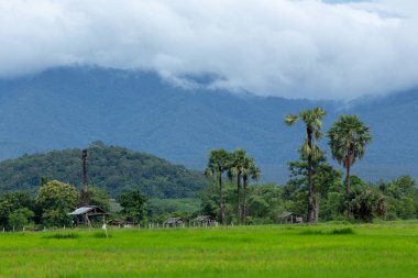 Bulutlu gün, Tayland vadide kırsalında görünümünü