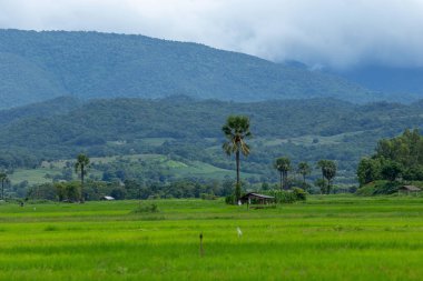 Bulutlu gün, Tayland vadide kırsalında görünümünü