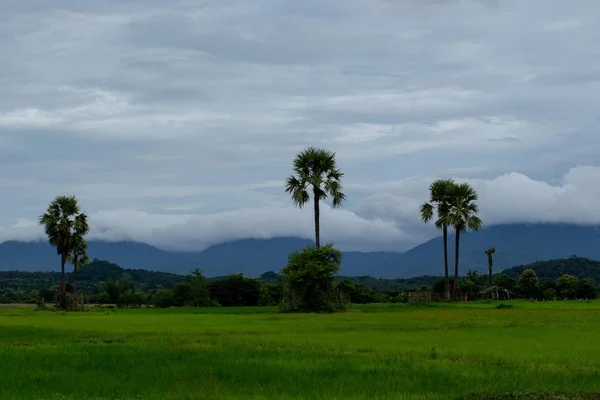 Blick Auf Die Landschaft Tal Bei Bewölktem Tag Thailand — Stockfoto