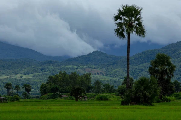 Bulutlu gün, Tayland vadide kırsalında görünümünü