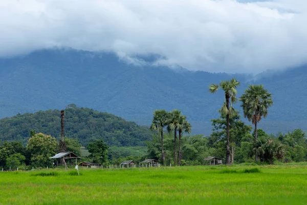 Bulutlu gün, Tayland vadide kırsalında görünümünü