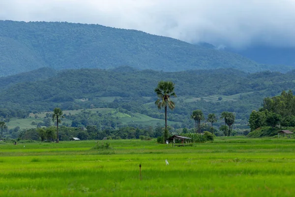 Bulutlu gün, Tayland vadide kırsalında görünümünü