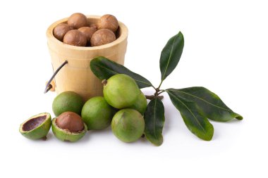 Beyaz arka planda izole edilmiş Macadamia fındıkları