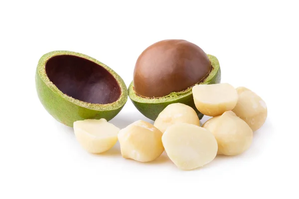 Nueces Macadamia Aisladas Sobre Fondo Blanco — Foto de Stock