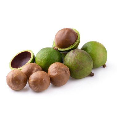 Beyaz arka planda izole edilmiş Macadamia fındıkları