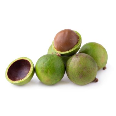 Beyaz arka planda izole edilmiş Macadamia fındıkları