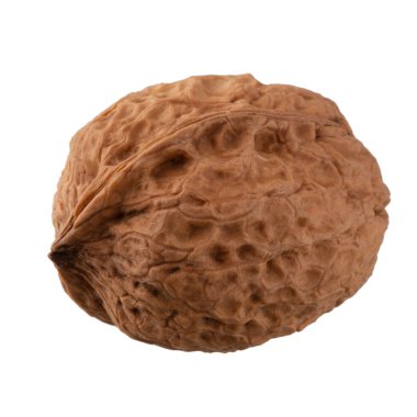 Kuru Ceviz beyaz arkaplanda izole edildi