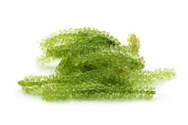 Beyaz arka plan üzerinde izole oval deniz üzüm deniz yosunu