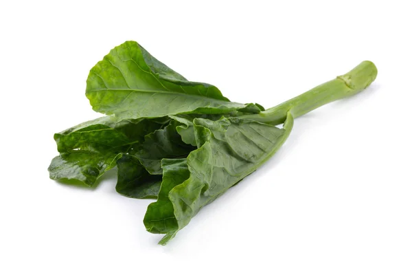 Fresh Chinese Kale Isolated White Background — Stock Photo, Image