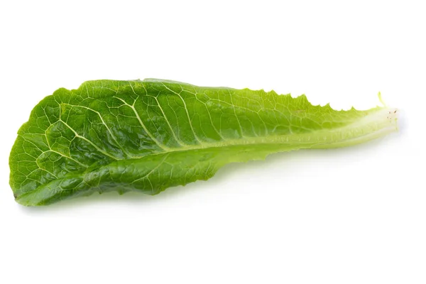 新鲜绿可豆生菜 白色背景分离 — 图库照片