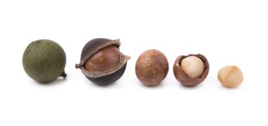 Beyaz arka planda kabuklu ve kabuksuz Macadamia fındıkları.