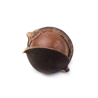 Beyaz arka planda kabuklu ve kabuksuz Macadamia fındıkları.