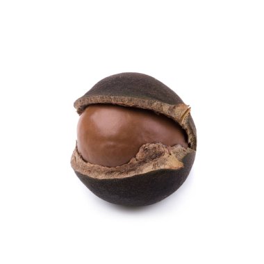 Beyaz arka planda kabuklu ve kabuksuz Macadamia fındıkları.