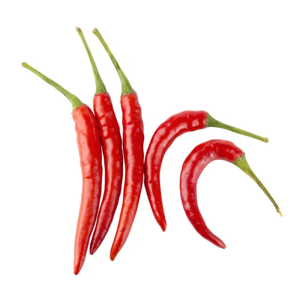 Röd Varm Chili Paprika Isolerad Vit Bakgrund — Stockfoto