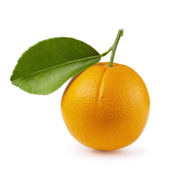 白底绿叶鲜橙 — 图库照片