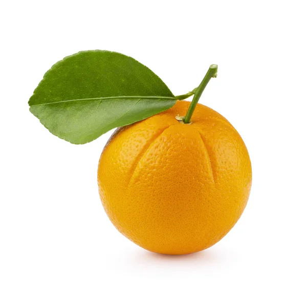 배경에 신선한 오렌지 — 스톡 사진
