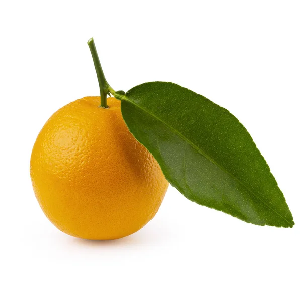 배경에 신선한 오렌지 — 스톡 사진