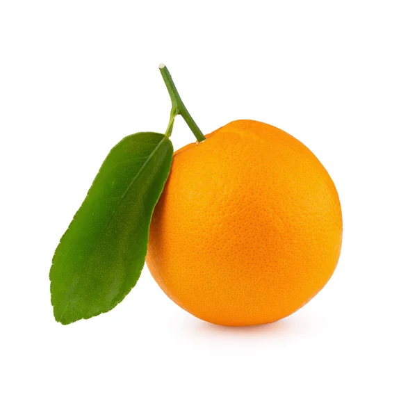 Fresh Orange Green Leaf Isolated White Background — Stock Photo, Image