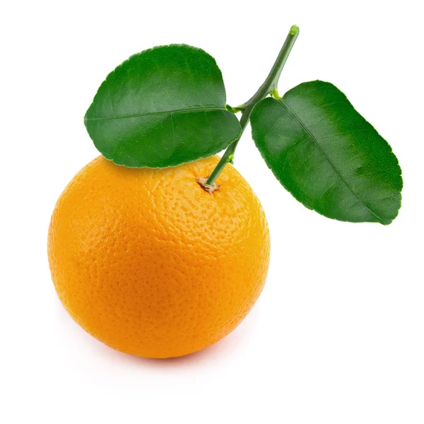 Naranja Fresco Aislado Sobre Fondo Blanco — Foto de Stock