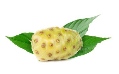 Noni or Morinda Citrifolia fruits and green leaf isolated on white background. clipart