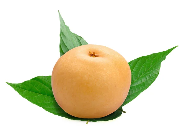Pear Fruit White Background — Stock Photo, Image