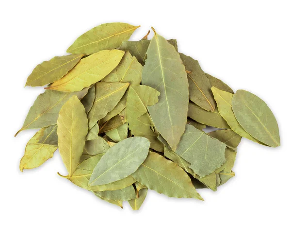 Dried Bay Leaves Isolated White Background — Stock Photo, Image
