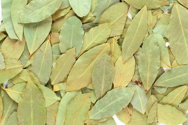 Dried Bay Leaves Isolated White Background — Stock Photo, Image