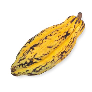 Kakao meyve, ham kakao çekirdekleri, beyaz arka plan üzerinde izole kakao pod.