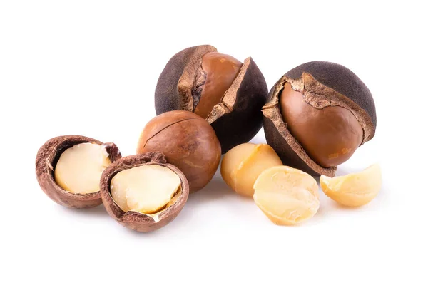 Makadamia Ořechy Izolované Bílém Pozadí — Stock fotografie