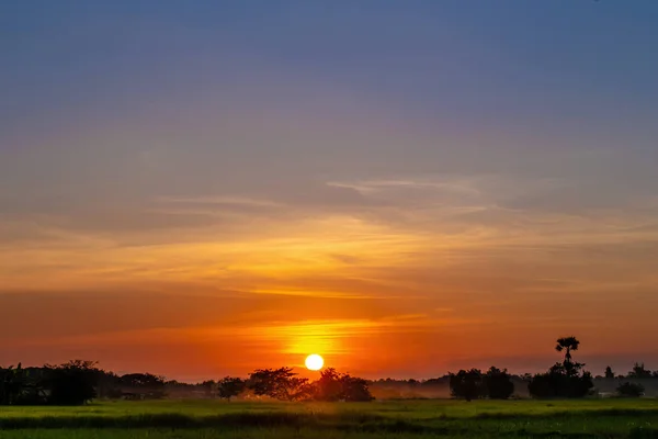 Colorful Dramatic Sky Silhouette Tree Countryside Sunset — Stock Photo, Image