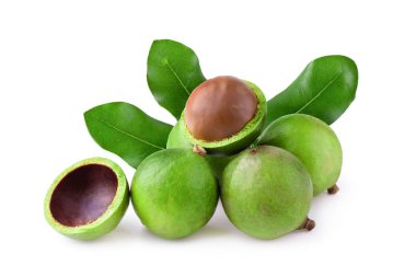 Macadamia fıstığı ile yeşil Macadamia yaprakları üzerinde izole beyaz arka plan.