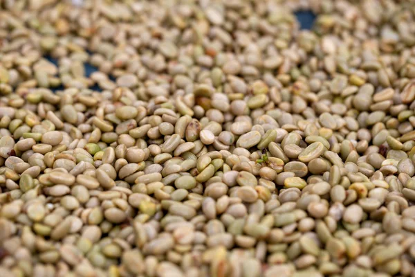 Drying Raw Coffee Beans Agricultural Industry — Stock Photo, Image