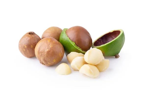 Nueces Macadamia Aisladas Sobre Fondo Blanco — Foto de Stock