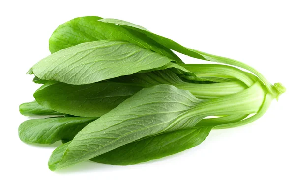 Repollo Bok Choy Aislado Sobre Fondo Blanco — Foto de Stock