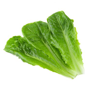 Çünkü Beyaz Arkaplanda Marul İzole Edildi.